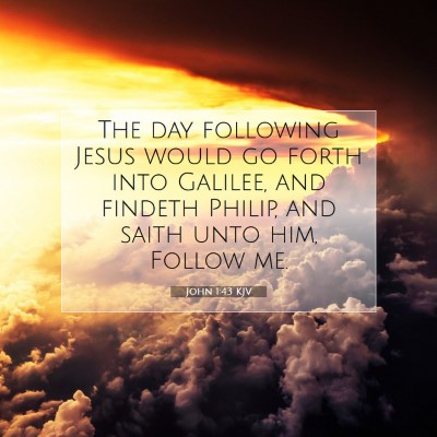 Picture 07 - John 1:43 KJV - The day following Jesus would go forth into - Bible Verse Picture