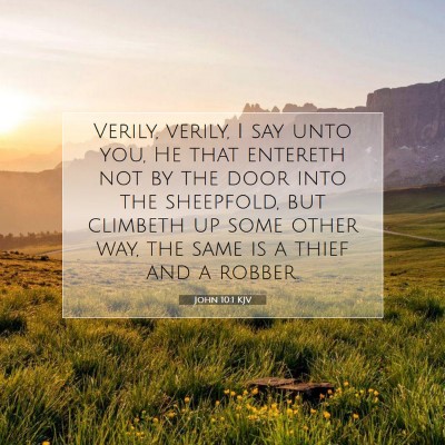 Picture 07 - John 10:1 KJV - Verily, verily, I say unto you, He that entereth - Bible Verse Picture