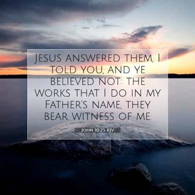 Picture 07 - John 10:25 KJV - Jesus answered them, I told you, and ye believed - Bible Verse Picture