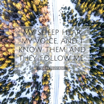 Picture 07 - John 10:27 KJV - My sheep hear my voice, and I know them, and they - Bible Verse Picture