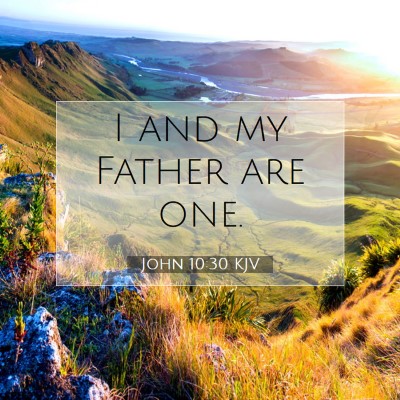 Picture 07 - John 10:30 KJV - I and my Father are - Bible Verse Picture