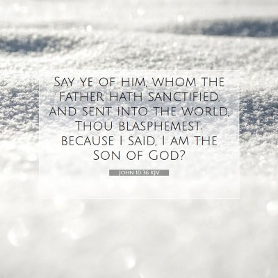Picture 07 - John 10:36 KJV - Say ye of him, whom the Father hath sanctified, - Bible Verse Picture