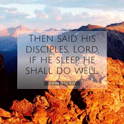 Picture 07 - John 11:12 KJV - Then said his disciples, Lord, if he sleep, he - Bible Verse Picture