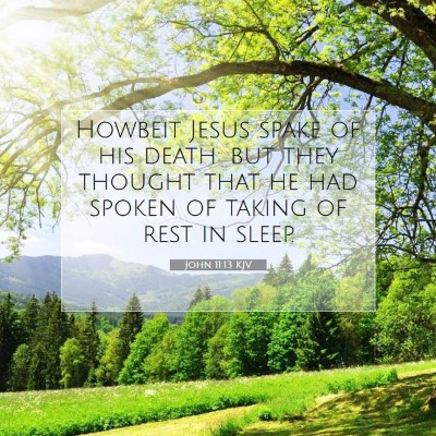 Picture 07 - John 11:13 KJV - Howbeit Jesus spake of his death: but they - Bible Verse Picture