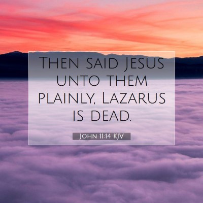 Picture 07 - John 11:14 KJV - Then said Jesus unto them plainly, Lazarus is - Bible Verse Picture