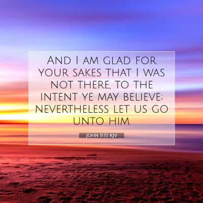 Picture 07 - John 11:15 KJV - And I am glad for your sakes that I was not - Bible Verse Picture