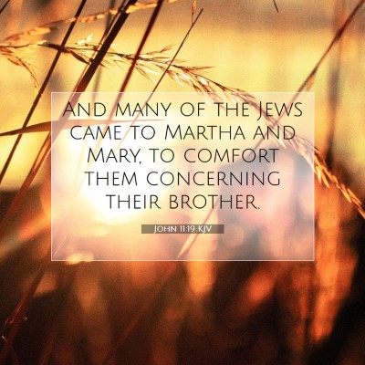 Picture 07 - John 11:19 KJV - And many of the Jews came to Martha and Mary, to - Bible Verse Picture