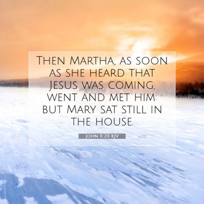 Picture 07 - John 11:20 KJV - Then Martha, as soon as she heard that Jesus was - Bible Verse Picture