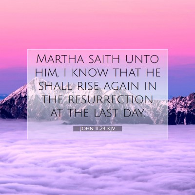 Picture 07 - John 11:24 KJV - Martha saith unto him, I know that he shall rise - Bible Verse Picture
