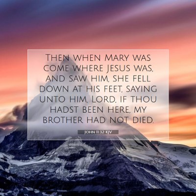 Picture 07 - John 11:32 KJV - Then when Mary was come where Jesus was, and saw - Bible Verse Picture
