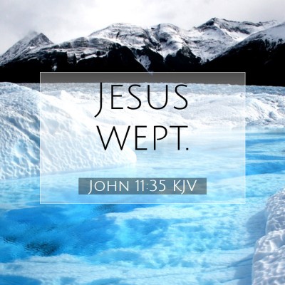 Picture 07 - John 11:35 KJV - Jesus - Bible Verse Picture