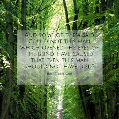 Picture 07 - John 11:37 KJV - And some of them said, Could not this man, which - Bible Verse Picture