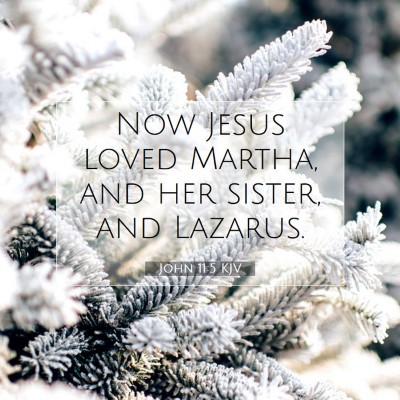 Picture 07 - John 11:5 KJV - Now Jesus loved Martha, and her sister, and - Bible Verse Picture