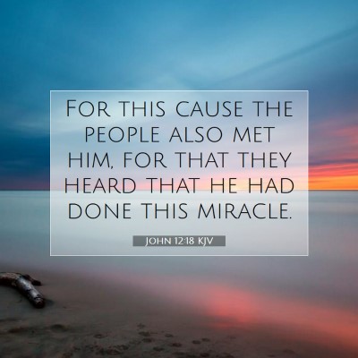 Picture 07 - John 12:18 KJV - For this cause the people also met him, for that - Bible Verse Picture