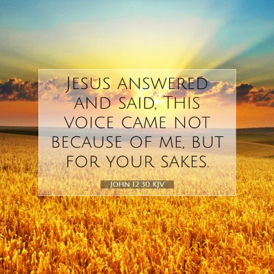 Picture 07 - John 12:30 KJV - Jesus answered and said, This voice came not - Bible Verse Picture