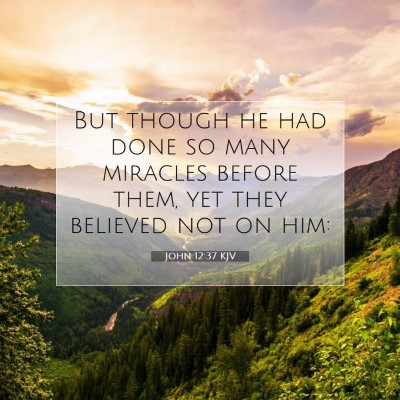Picture 07 - John 12:37 KJV - But though he had done so many miracles before - Bible Verse Picture
