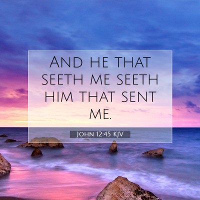 Picture 07 - John 12:45 KJV - And he that seeth me seeth him that sent - Bible Verse Picture
