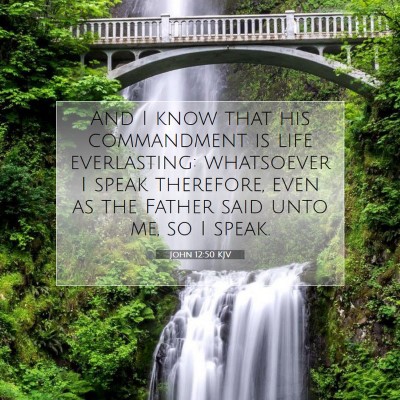 Picture 07 - John 12:50 KJV - And I know that his commandment is life - Bible Verse Picture