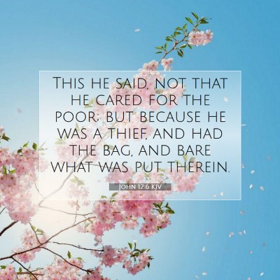 Picture 07 - John 12:6 KJV - This he said, not that he cared for the poor; but - Bible Verse Picture