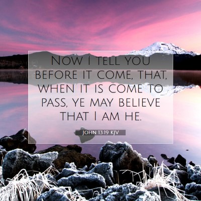 Picture 07 - John 13:19 KJV - Now I tell you before it come, that, when it is - Bible Verse Picture