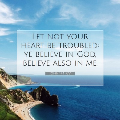 Picture 07 - John 14:1 KJV - Let not your heart be troubled: ye believe in - Bible Verse Picture