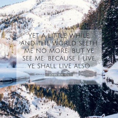 Picture 07 - John 14:19 KJV - Yet a little while, and the world seeth me no - Bible Verse Picture