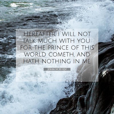 Picture 07 - John 14:30 KJV - Hereafter I will not talk much with you: for the - Bible Verse Picture