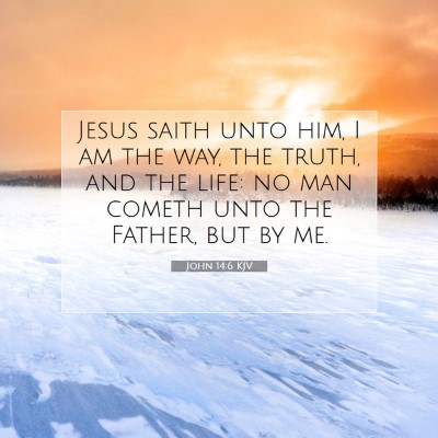 Picture 07 - John 14:6 KJV - Jesus saith unto him, I am the way, the truth, - Bible Verse Picture