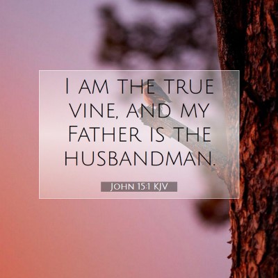 Picture 07 - John 15:1 KJV - I am the true vine, and my Father is the - Bible Verse Picture