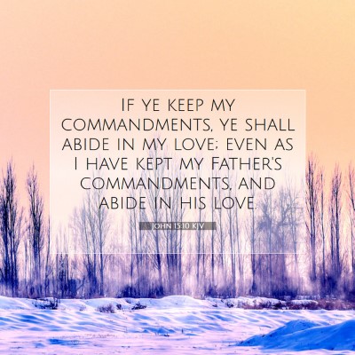 Picture 07 - John 15:10 KJV - If ye keep my commandments, ye shall abide in my - Bible Verse Picture