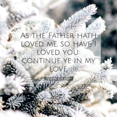 Picture 07 - John 15:9 KJV - As the Father hath loved me, so have I loved you: - Bible Verse Picture