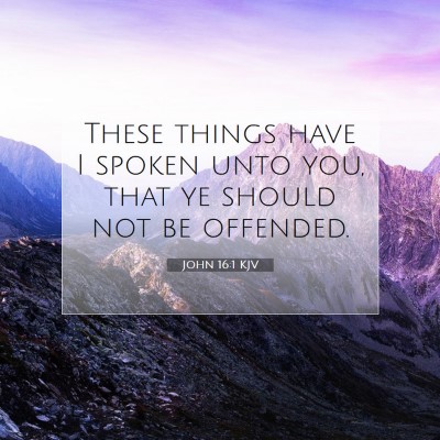 Picture 07 - John 16:1 KJV - These things have I spoken unto you, that ye - Bible Verse Picture