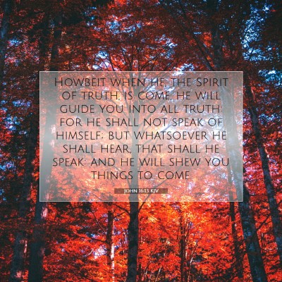 Picture 07 - John 16:13 KJV - Howbeit when he, the Spirit of truth, is come, he - Bible Verse Picture