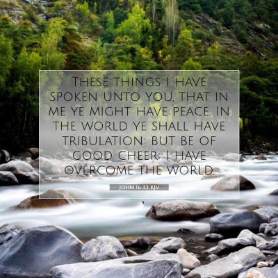Picture 07 - John 16:33 KJV - These things I have spoken unto you, that in me - Bible Verse Picture