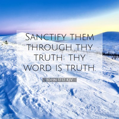 Picture 07 - John 17:17 KJV - Sanctify them through thy truth: thy word is - Bible Verse Picture