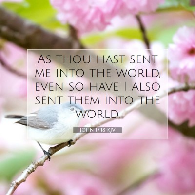 Picture 07 - John 17:18 KJV - As thou hast sent me into the world, even so have - Bible Verse Picture