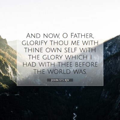 Picture 07 - John 17:5 KJV - And now, O Father, glorify thou me with thine own - Bible Verse Picture