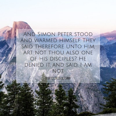 Picture 07 - John 18:25 KJV - And Simon Peter stood and warmed himself. They - Bible Verse Picture
