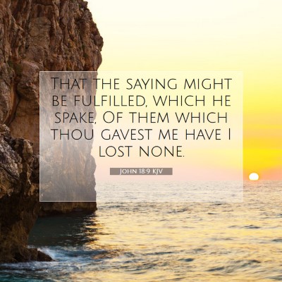 Picture 07 - John 18:9 KJV - That the saying might be fulfilled, which he - Bible Verse Picture