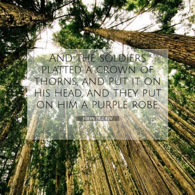 Picture 07 - John 19:2 KJV - And the soldiers platted a crown of thorns, and - Bible Verse Picture