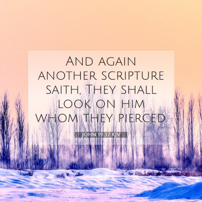 Picture 07 - John 19:37 KJV - And again another scripture saith, They shall - Bible Verse Picture