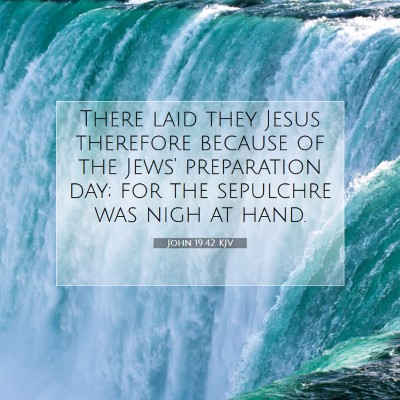 Picture 07 - John 19:42 KJV - There laid they Jesus therefore because of the - Bible Verse Picture