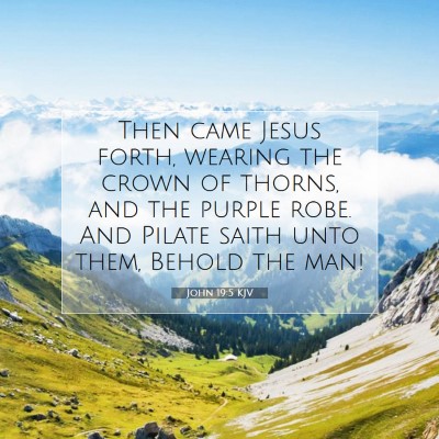 Picture 07 - John 19:5 KJV - Then came Jesus forth, wearing the crown of - Bible Verse Picture