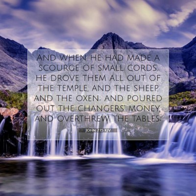Picture 07 - John 2:15 KJV - And when he had made a scourge of small cords, he - Bible Verse Picture