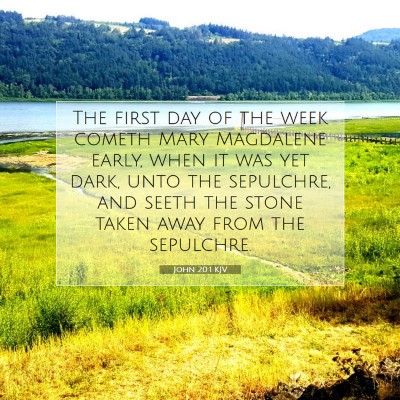 Picture 07 - John 20:1 KJV - The first day of the week cometh Mary Magdalene - Bible Verse Picture
