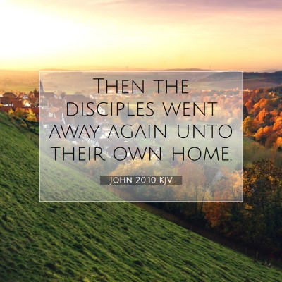 Picture 07 - John 20:10 KJV - Then the disciples went away again unto their own - Bible Verse Picture