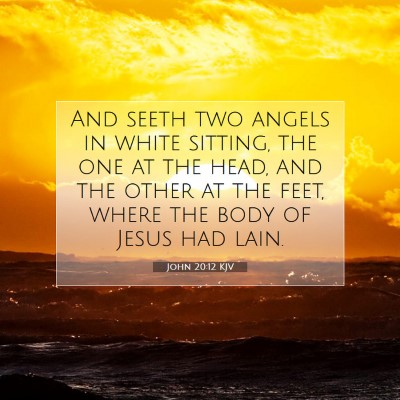 Picture 07 - John 20:12 KJV - And seeth two angels in white sitting, the one at - Bible Verse Picture