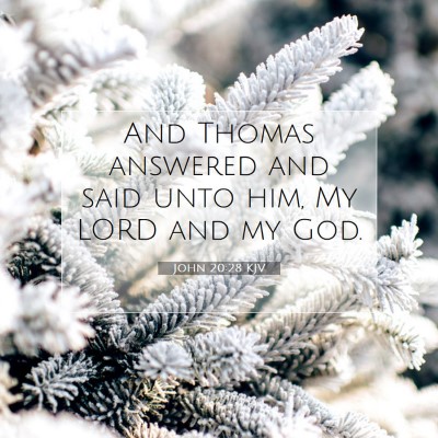 Picture 07 - John 20:28 KJV - And Thomas answered and said unto him, My LORD - Bible Verse Picture