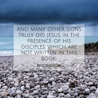 Picture 07 - John 20:30 KJV - And many other signs truly did Jesus in the - Bible Verse Picture