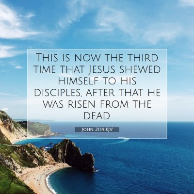 Picture 07 - John 21:14 KJV - This is now the third time that Jesus shewed - Bible Verse Picture